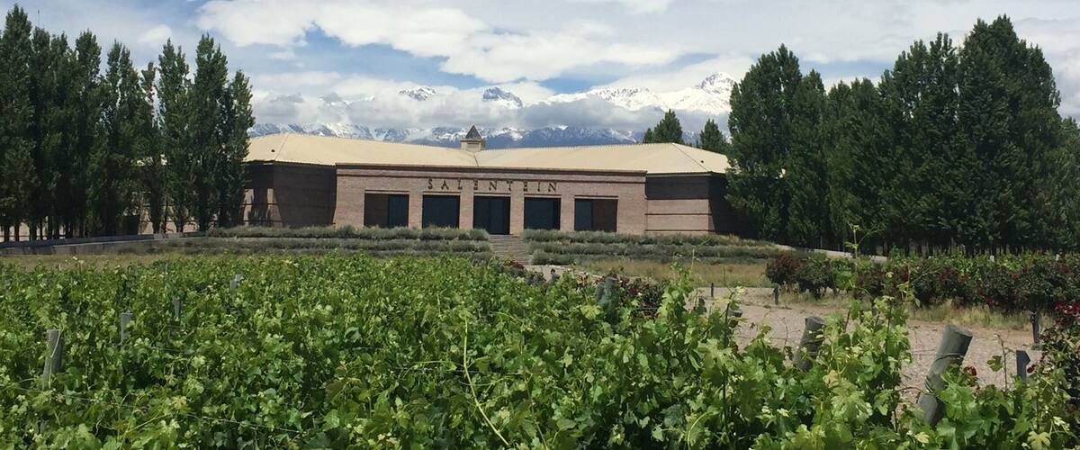 A building with 'SALENTIN' on its facade, surrounded by a vineyard and a mountainous backdrop.