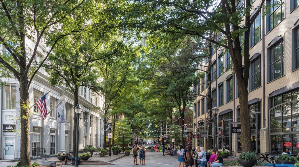 Fairlie-Poplar Historic District