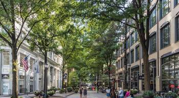 إقليم فيرلي بوبلار التاريخي