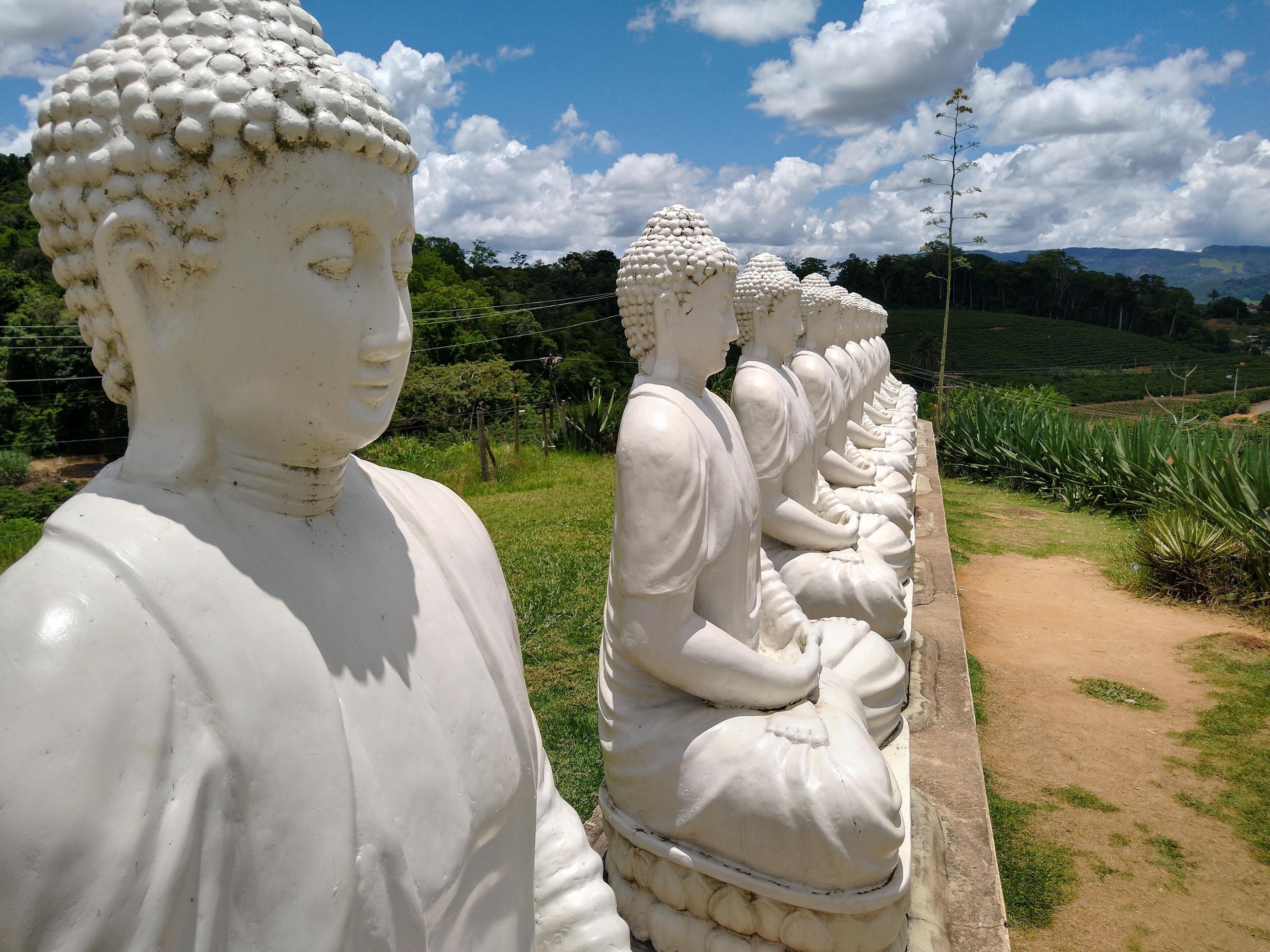 A row of white Buddha statues in a garden.