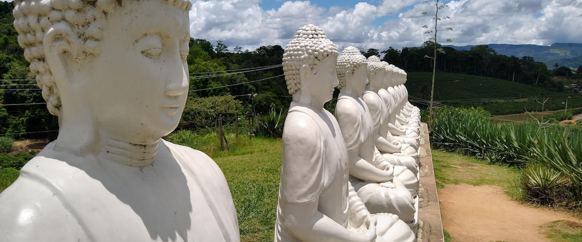 A row of white Buddha statues in a garden.