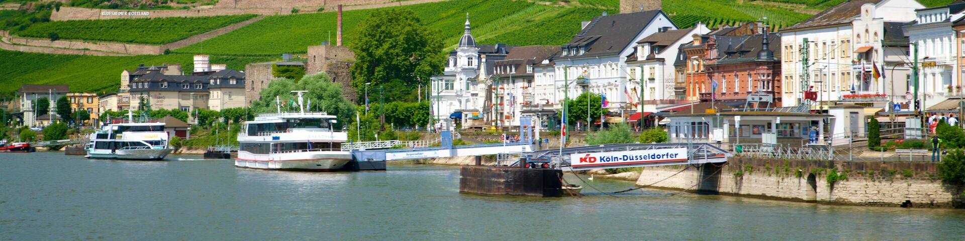 Rheingau Wine Region which includes a small town or village, a lake or waterhole and tranquil scenes
