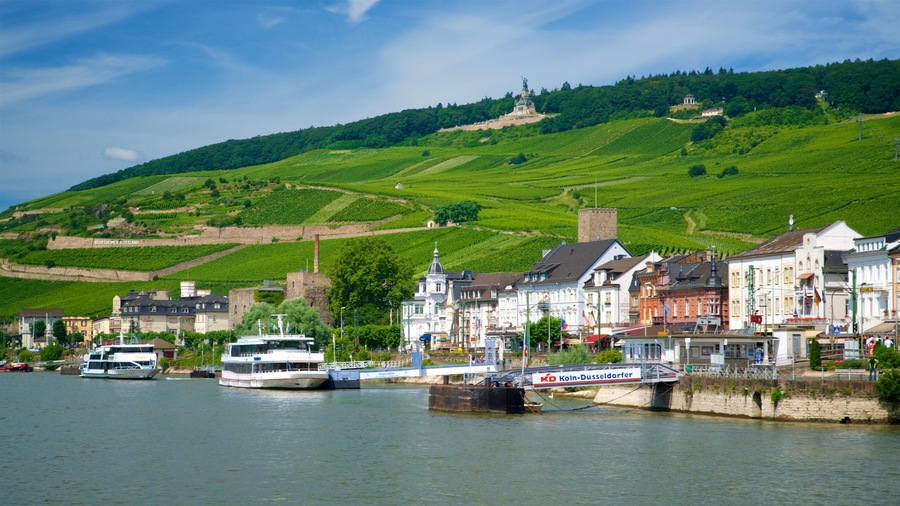 Rheingau Wine Region which includes a small town or village, a lake or waterhole and tranquil scenes