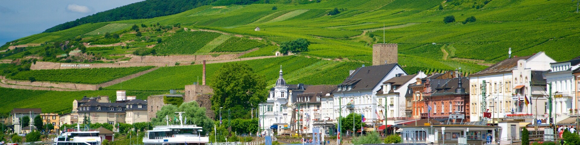 Rheingau Wine Region which includes a small town or village, a lake or waterhole and tranquil scenes