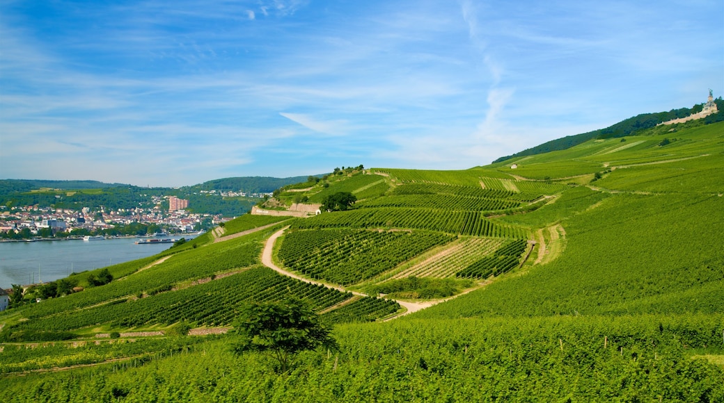 Rheingau Wine Region which includes farmland, tranquil scenes and landscape views