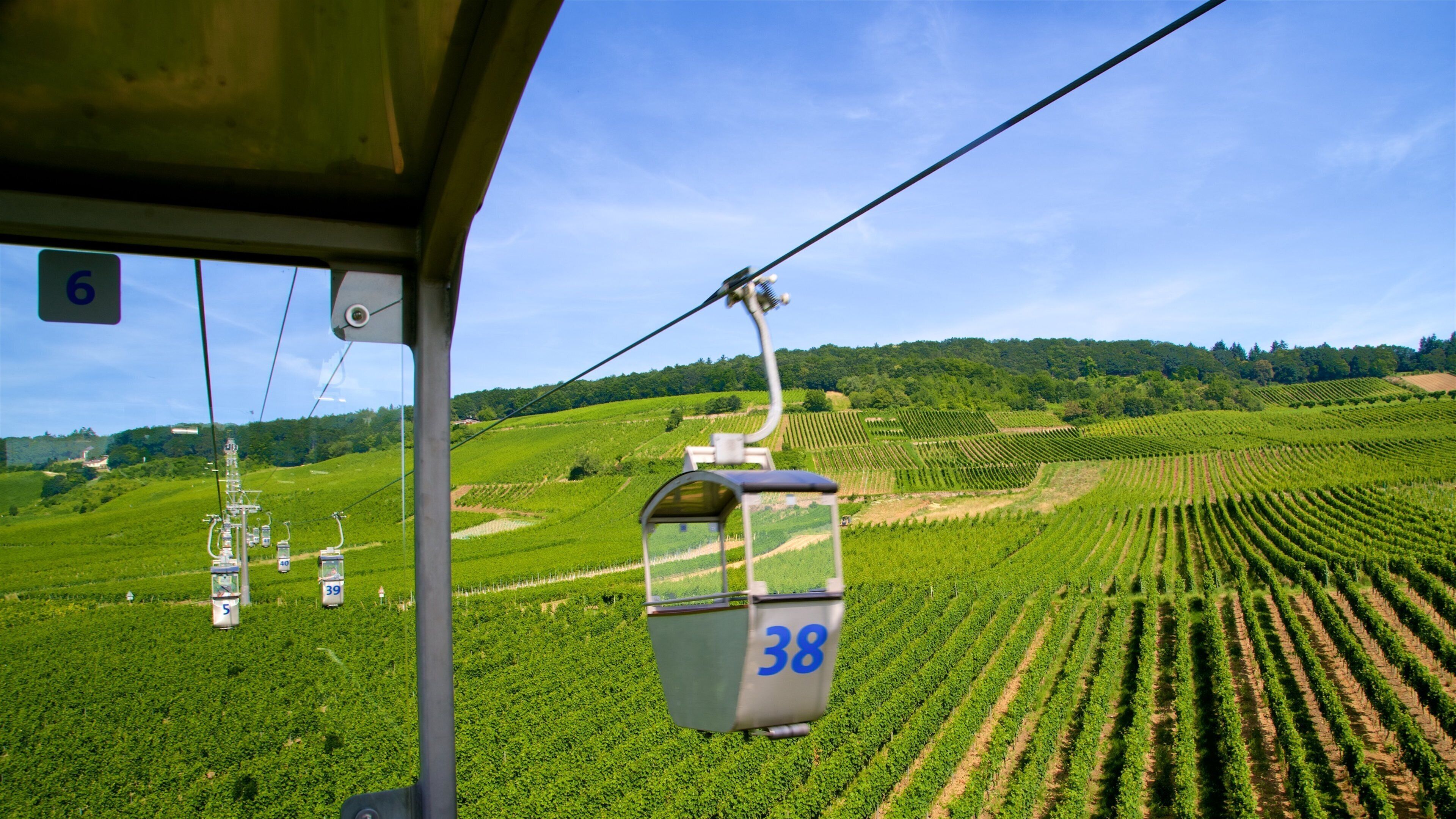 Rheingau Wine Region featuring farmland, a gondola and tranquil scenes