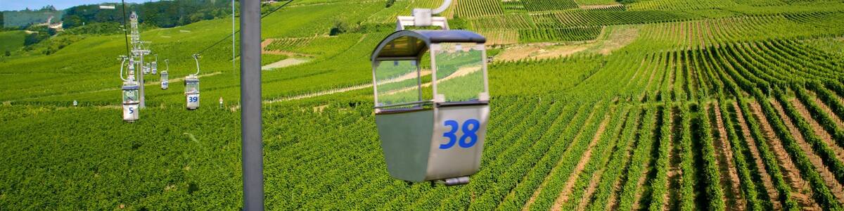 Rheingau Wine Region featuring farmland, a gondola and tranquil scenes