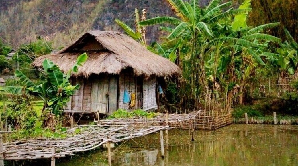 Typical rice paddy shack, a common sight when wandering the embankments. Be careful though - don't fall into a rice field and muddy yourself.