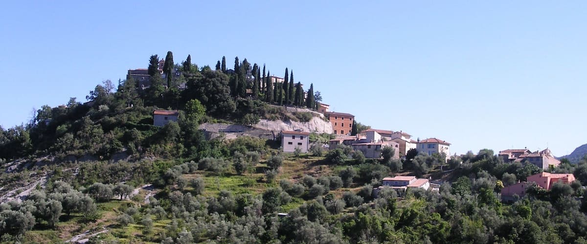 A hillside village with buildings and trees.