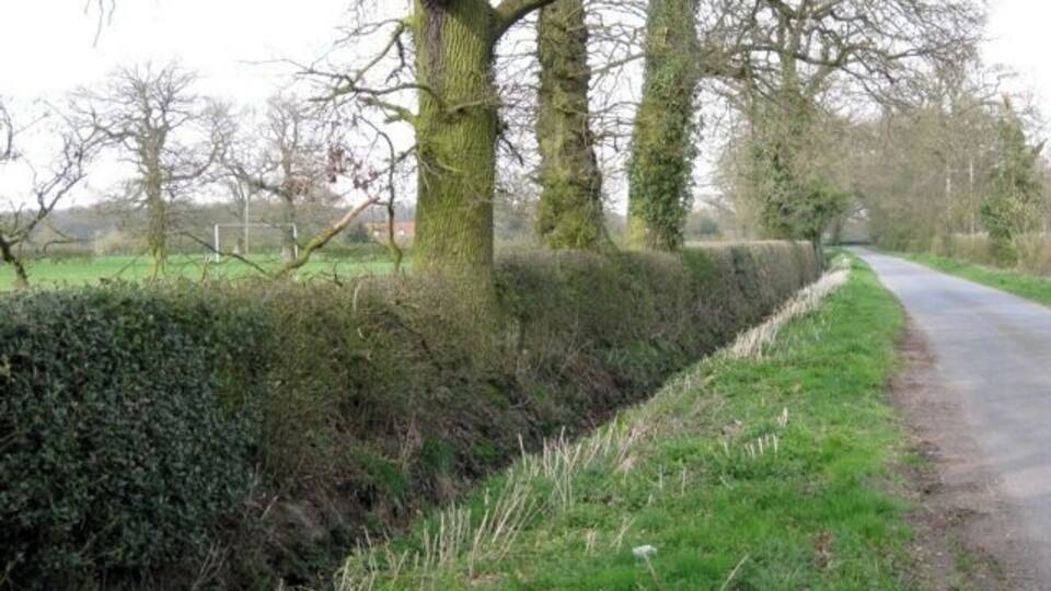 Hedge and ditch, Manor Lane Note the holly, left, and further along. Hedges entirely of holly are a feature of ancient Arden. The village receation ground is beyond the hedge.