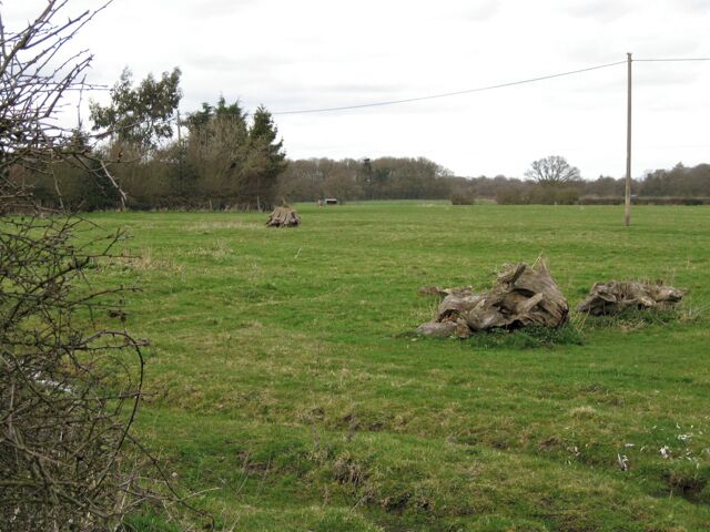 Stumps, Wroxall Observed in other fields also.