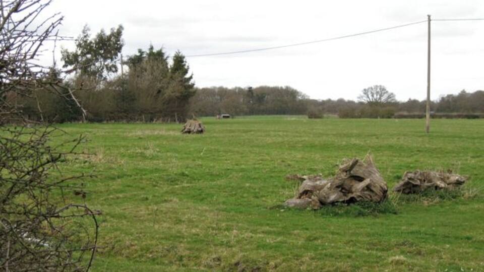 Stumps, Wroxall Observed in other fields also.