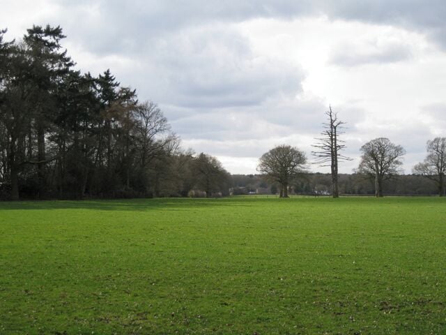 Clump and parkland, Wroxall Abbey estate