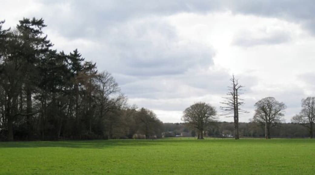 Clump and parkland, Wroxall Abbey estate