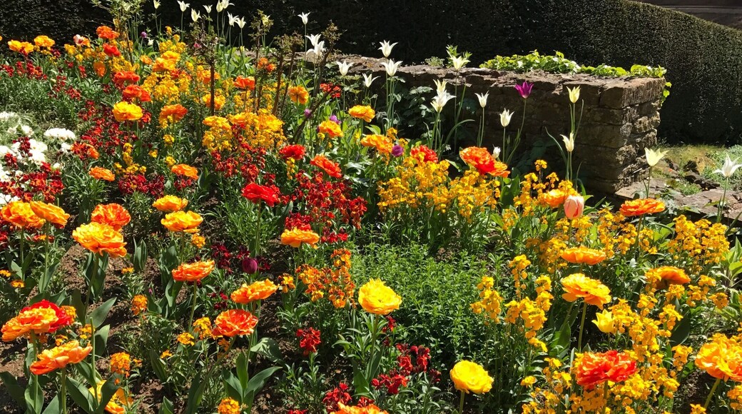 Unexpected find, beautiful walk through a sloping garden