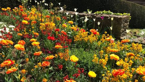 Unexpected find, beautiful walk through a sloping garden