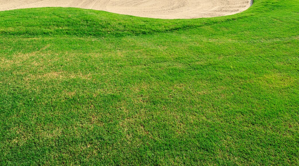 White Plains Golf Course