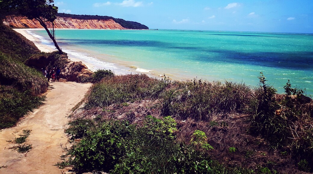 The broken car beach is one of the most gorgeous one in Alagoas/Brazil
The features of several shades of turquoise are hypinotic