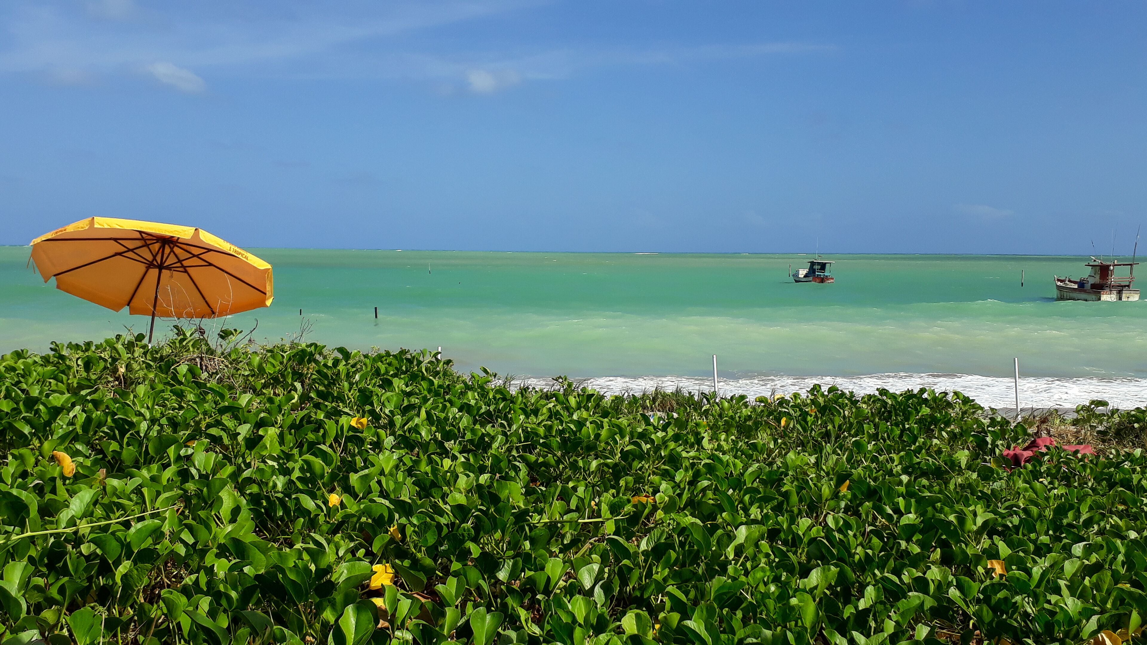 A beach with clear turquoise water, a yellow umbrella, and a boat in the distance.