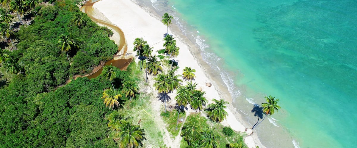 A tropical beach with clear turquoise waters, white sand, and lush green palm trees.