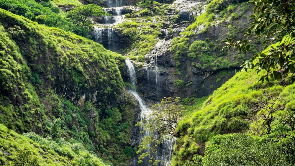 Une vallée verdoyante et luxuriante, où de nombreuses cascades dévalent le long d’une pente rocheuse.