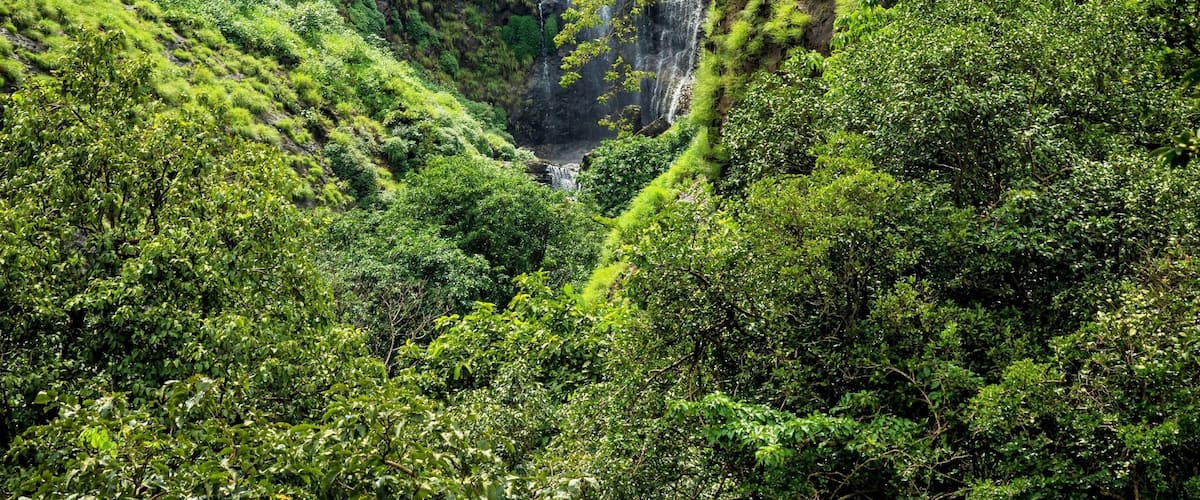 A lush green valley with multiple waterfalls cascading down a rocky hillside.