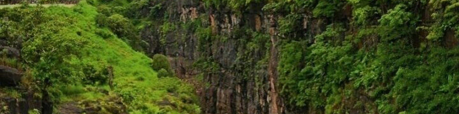 #igatpuri #green #scenery #nature #beauty #love