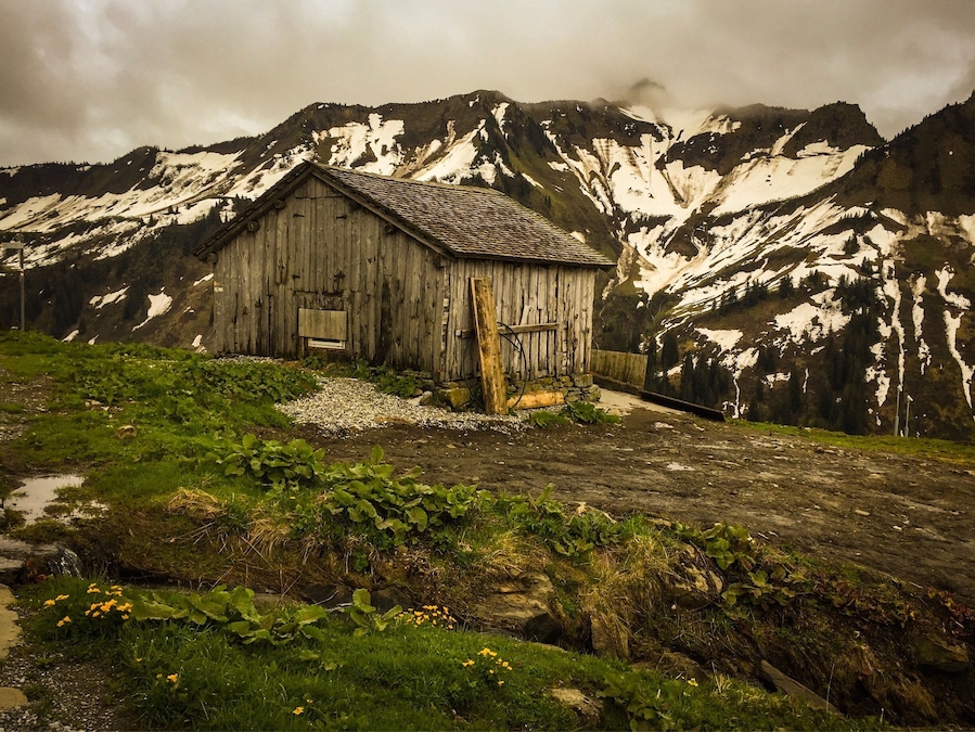 An Alpine hike up in the ski region of Austria, beautiful meadows with the backdrop of the snow covered Alps! Gorgeous 360 degree views, cool crisp air and ever so peaceful.