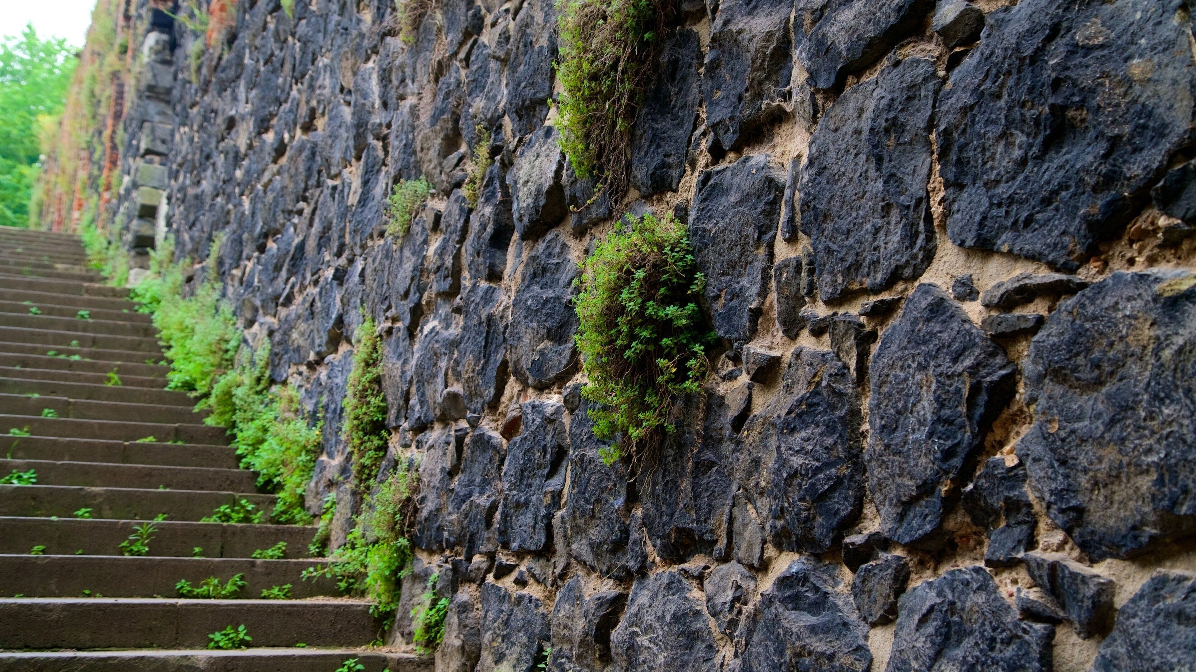 Kaiserpfalz Kaiserswerth