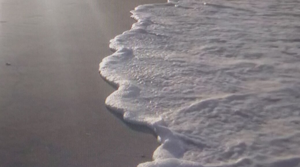 #ReDiscover
Fazer um tour pelas praias da Costa Brasileira desde praia do Cumbuco Fortaleza (foto) até Santa Catarina! Para mostrar a todos as belezas naturais brasileiras e suas diversas culturas!