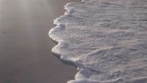 #ReDiscover
Fazer um tour pelas praias da Costa Brasileira desde praia do Cumbuco Fortaleza (foto) até Santa Catarina! Para mostrar a todos as belezas naturais brasileiras e suas diversas culturas!