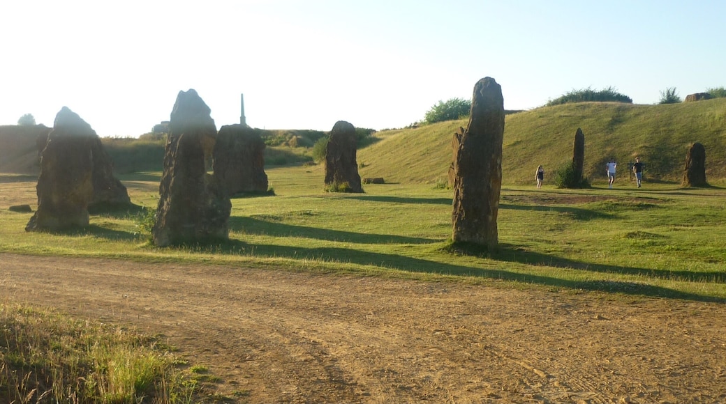Stone circle at Ham Hill. Not ancient but made for the millennium.