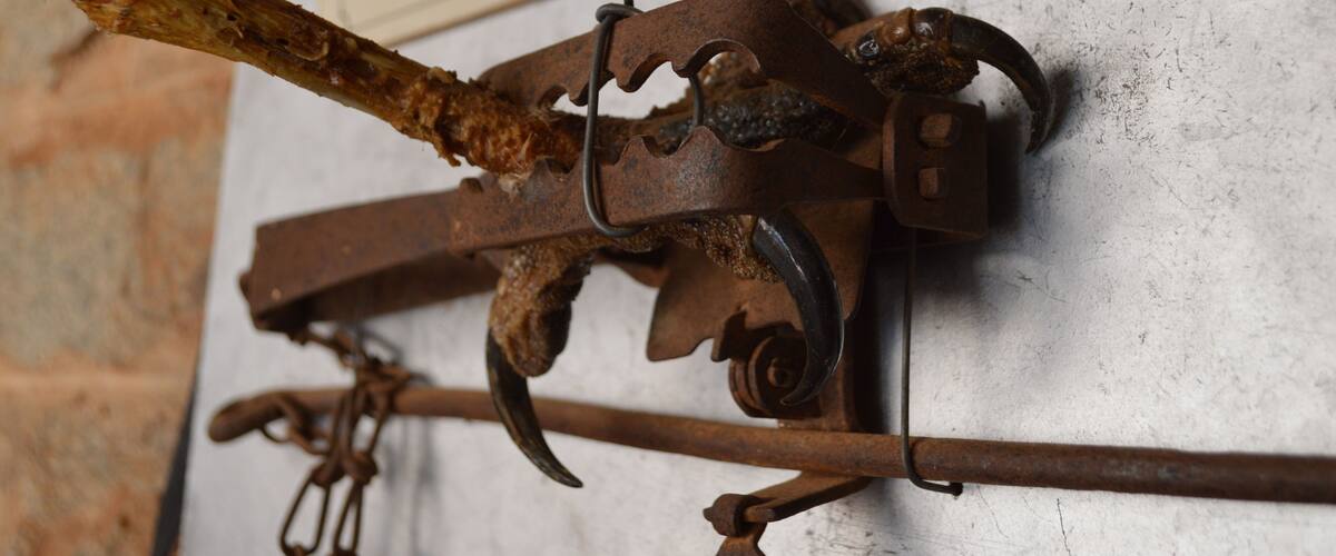 An old rusty metal object with a bone attached, mounted on a wall with a plaque.
