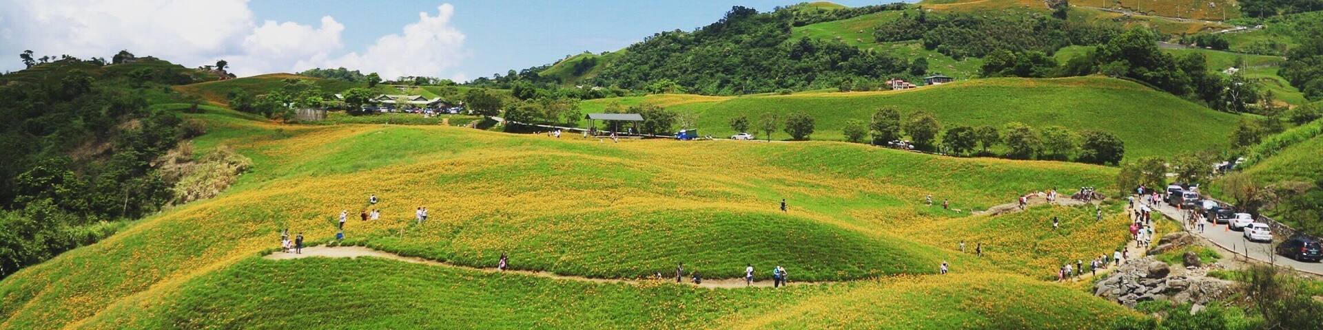 Rolling green hills, a clear blue sky, and a small settlement with buildings and a road.