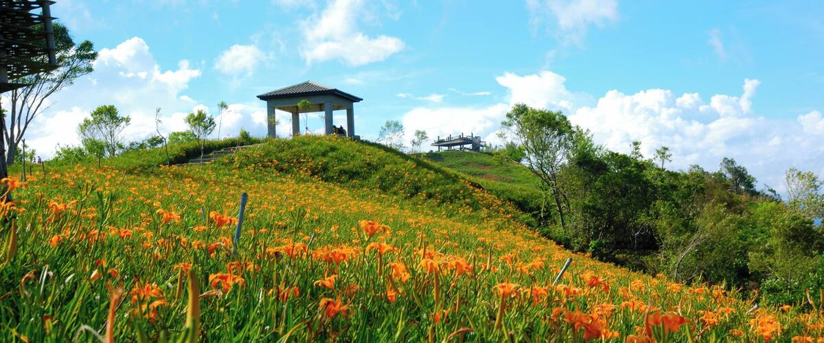 983, Taiwan, 花蓮縣富里鄉新興村