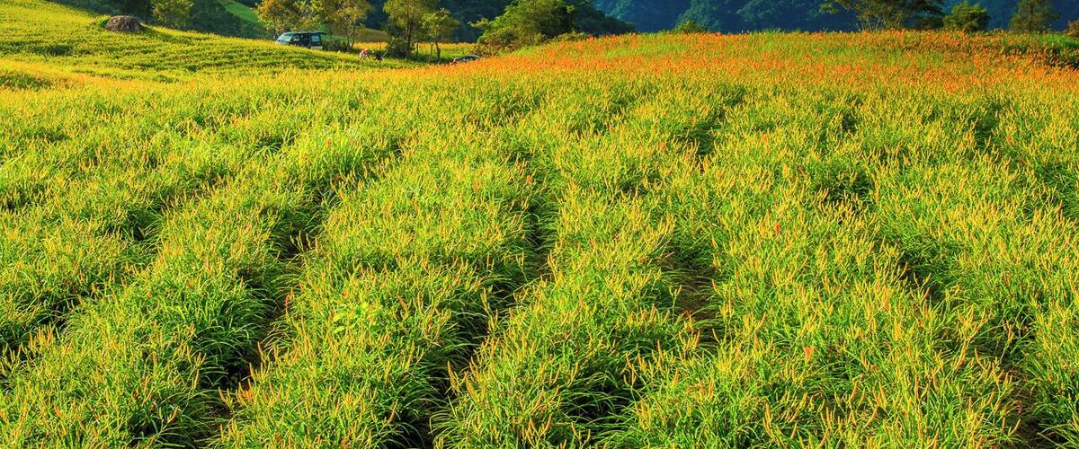 Landscape in Hualien county, Taiwan.
