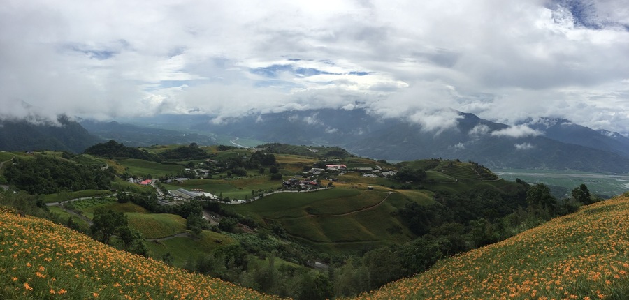 The orange flowers at 六十石山 in Hualien County, Taiwan. A view of the surrounding mountains are visible.