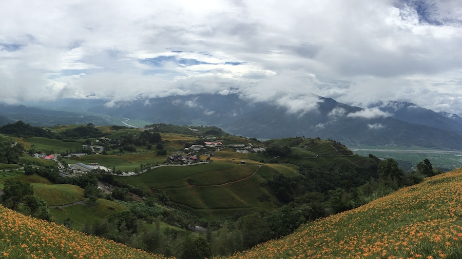 The orange flowers at 六十石山 in Hualien County, Taiwan. A view of the surrounding mountains are visible.