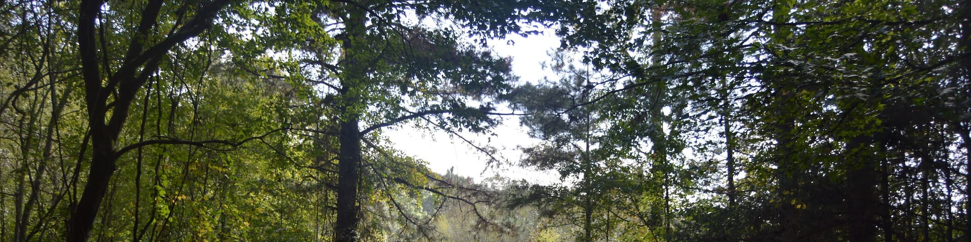 Little Mulberry Park, Dacula, GA, trail