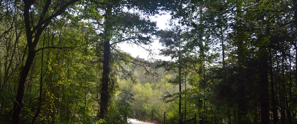 Little Mulberry Park, Dacula, GA, trail