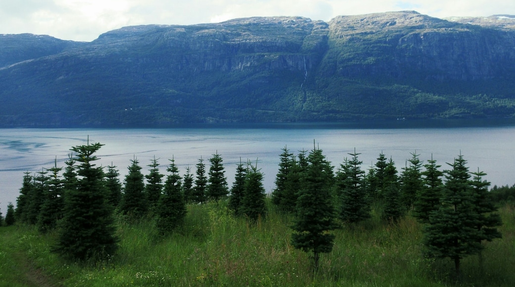 #lifeatexpedia #merch