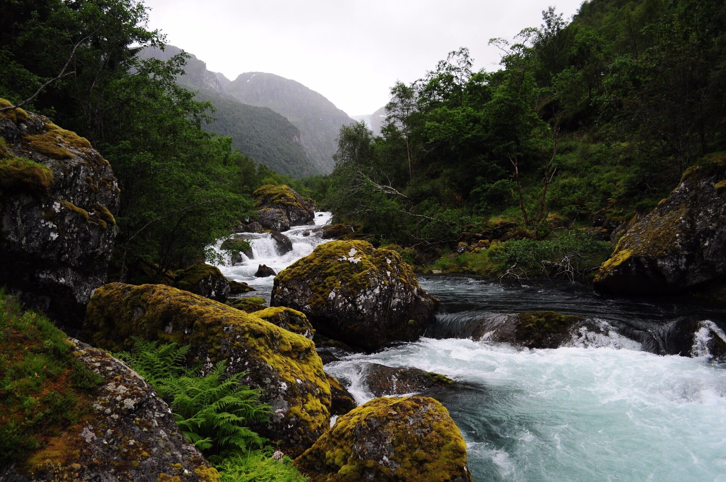 There was no shortage of glacial white water on this hike and the sky kept opening up from time to time to let the sun peek out leaving a fairly dramatic sky throughout the hike
#takeahike