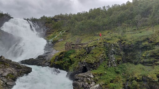 The mighty Kjosfossen is one of many highlights on the Flåm Railway. The waterfall has a total fall of 93 meters and is only accessible by train. It is posible to experience Kjosfossen all year, which gives the traveler the opportunity to visit a roaring waterfall during summer and pass by a snow and ice-covered waterfall during winter.
