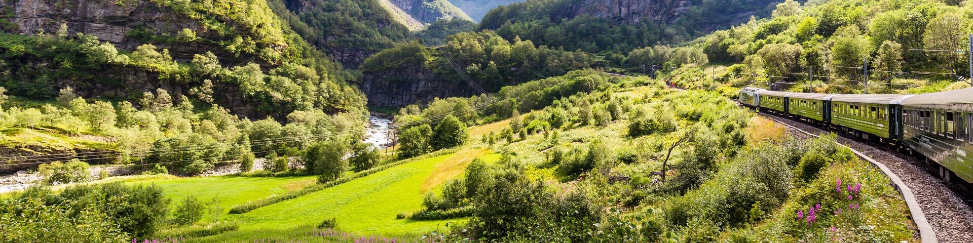 View from the most beautiful train journey Flamsbana between Flam and Myrdal in Aurland in Western Norway