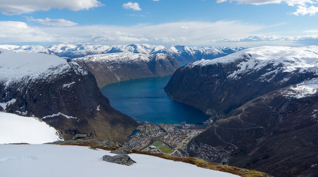 Hålandsnipa at autumn 6 Sep 2016