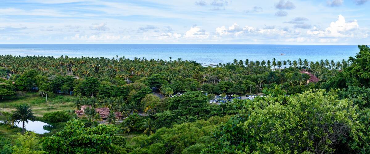 A coastal landscape with dense tropical vegetation, a small body of water, and a distant view of the ocean.