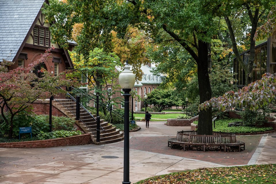 A campus pathway with a brick building, a large tree, a lamp post, and a bench.