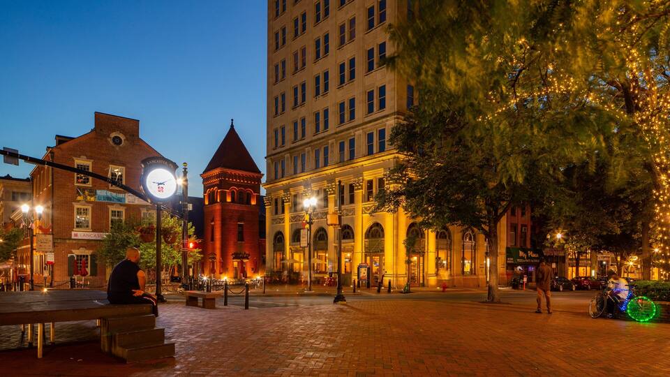 A historic square with a clock tower, illuminated buildings, and a tree with lights.