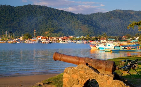 Uma vila costeira com barcos, um canhão e montanhas ao fundo.