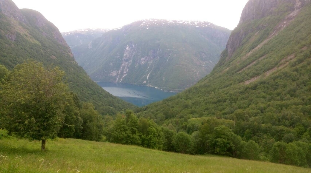 View of Årdalsvannet from Nundalen